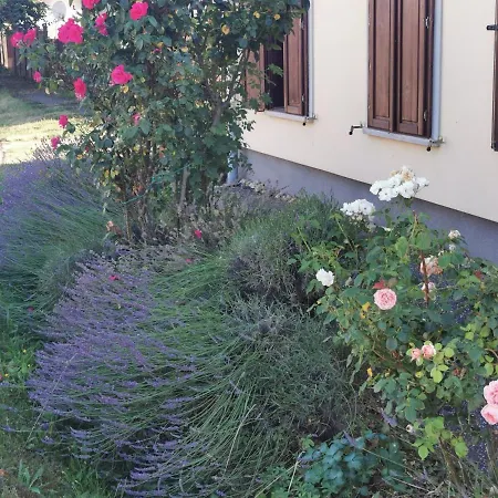 Vendégház Aromaporta