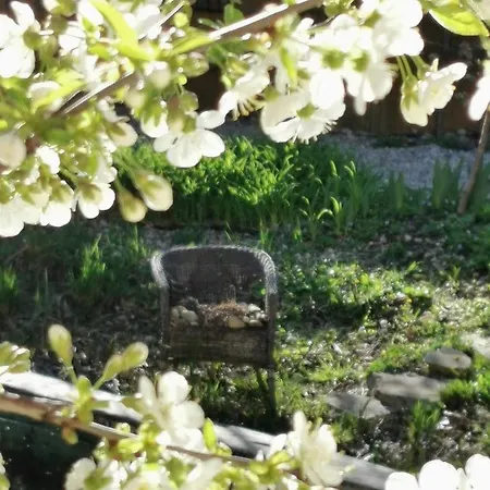 Pensión Aromaporta