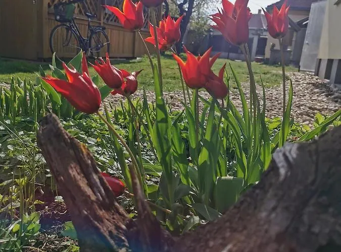 Aromaporta Affittacamere 3*